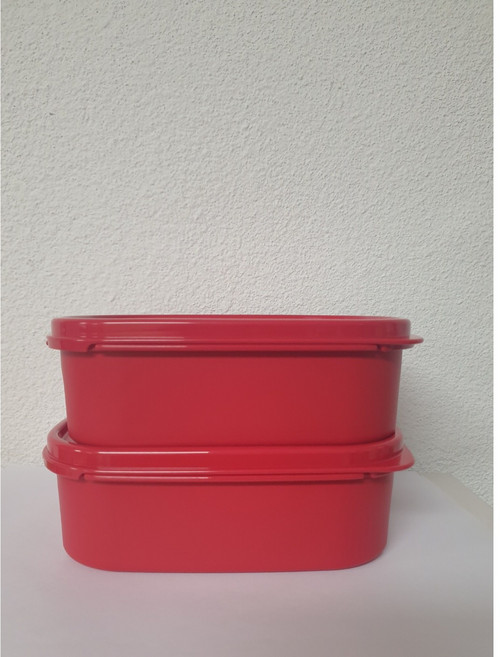 타파웨어 미니 모듈러 김치통850ml 2개 세트 색상 랜덤 (레드or다홍)