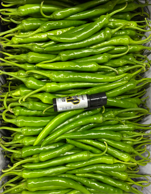 은혜상회 국내산 롱그린 풋고추 상급, 1개, 1kg