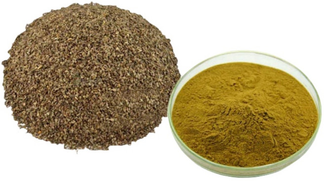 충위자 익모초 씨 추출물, 1개, 200g