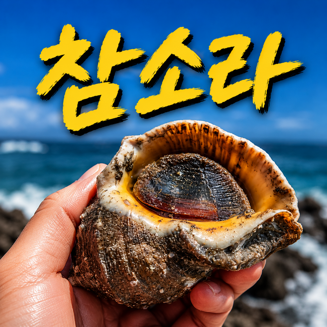 국내산 참소라 쫄깃한 제철 소라, 1박스, 참소라 1kg (10미 이상)