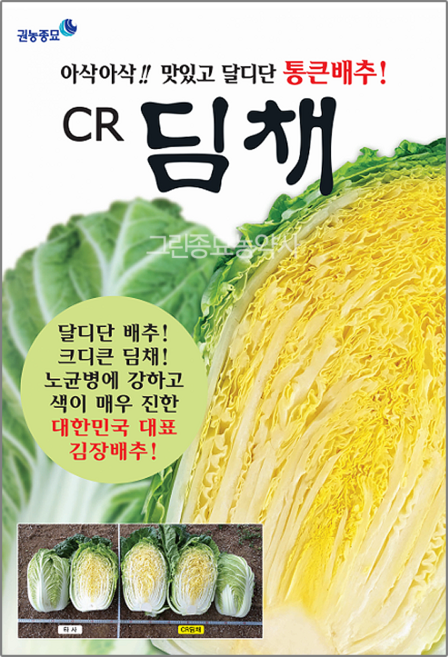 김장배추 종자 씨 CR 딤채 1000립 권농종묘 무 배추 가을 맛있는, 1개