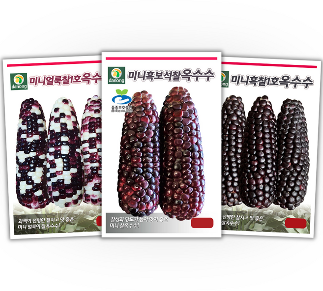 주주씨앗 미니 찰옥수수 씨앗 3종세트 / 흑찰옥수수 얼룩찰 품종보호등록 블랙베리찰 옥수수 구채소 씨앗 몰 종자 씨, 1개