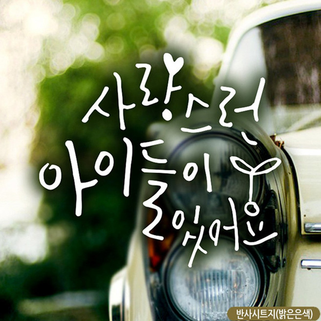 자동차 반사 스티커 아이들용 새싹 차에붙이는스티커 차량용시트지 차량용스티커