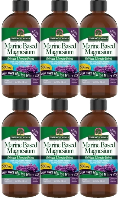 네이처스앤서 고흡수 해양 마린 베이스드 마그네슘 500mg 액상 액체, 480ml, 6개 - 쿠팡