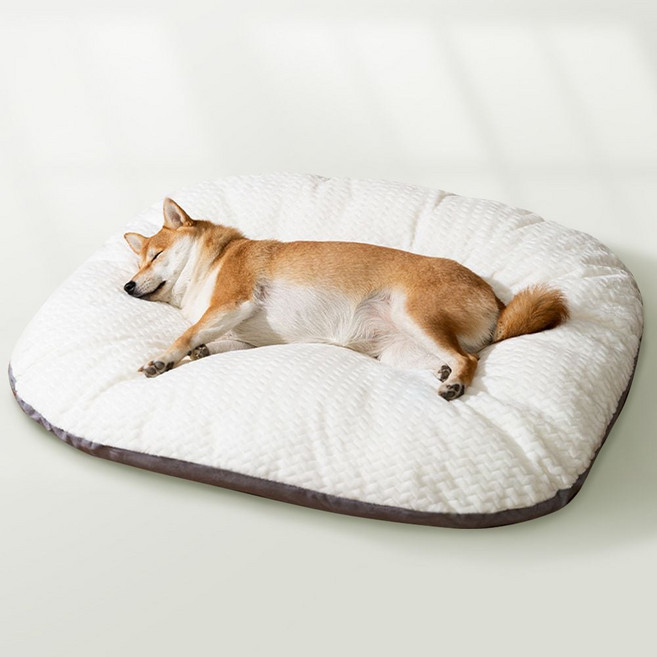 애견 강아지 방석 고양이 쿠션 담요 이불 LUAZ-DG6 소형 rka*9475Sg