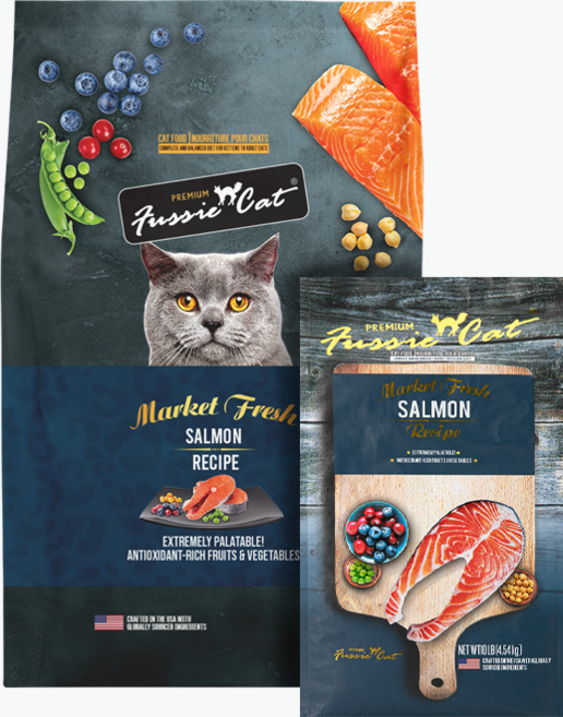 퍼시캣 연어 레시피 고양이 건식사료, 1kg, 2개