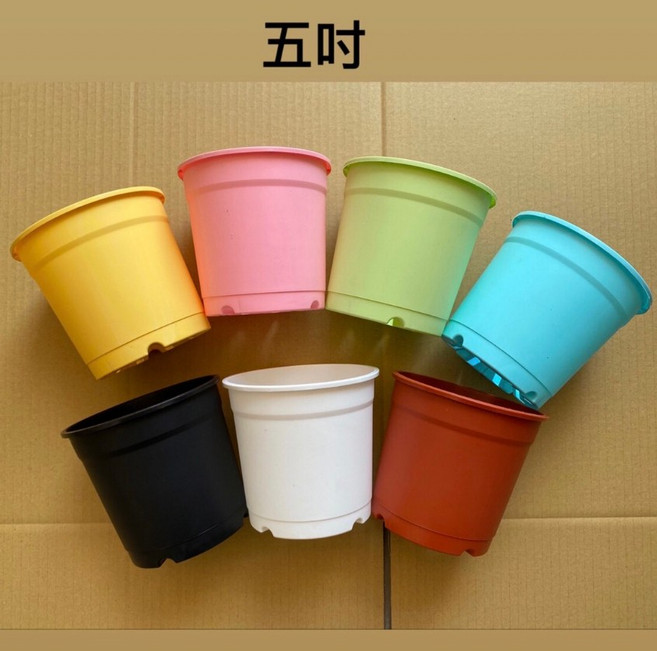 【欣榮園藝】圓盆 栽培盆 加厚 矮盆 盆栽 草莓盆 塑膠盆, 藍色5吋, 1個