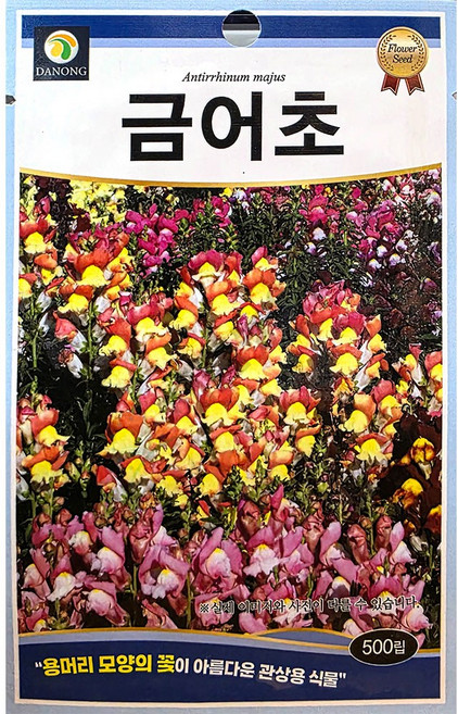 금어초 500립 다농 25년 금어초꽃씨앗