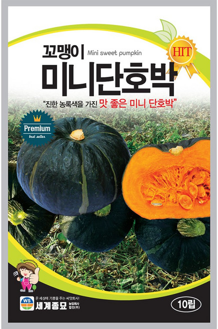 꼬맹이 미니단호박 10립/세계종묘 미니단호박씨앗, 1개