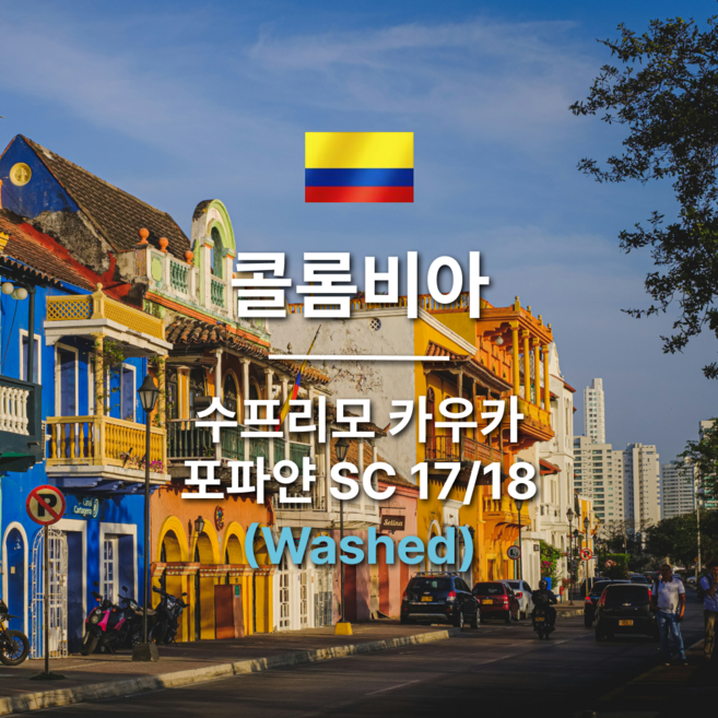 [커피생두] 2024 뉴크랍 콜롬비아 수프리모 카우카 포파얀 SC17/18 1KG, 1개