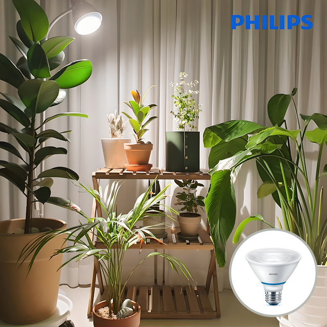 필립스 식물등 PAR30 스팟 LED 생장등 테라리움 다육이 식물램프(스탠드 미포함), 백색, 1개