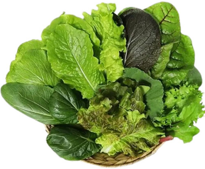 하나의팜 국내산 모듬 쌈채소 모둠쌈, 1박스, 2kg