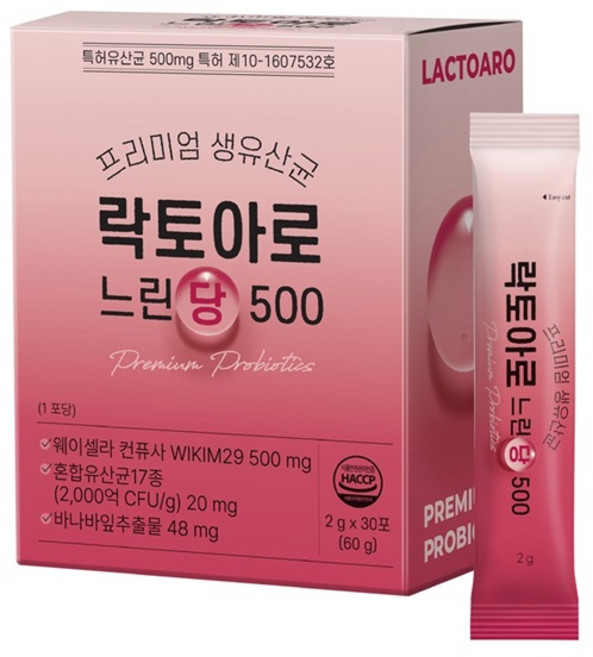 2000억 프리미엄 생유산균 락토아로 느린당500 프로바이오틱스, 1박스, 60g