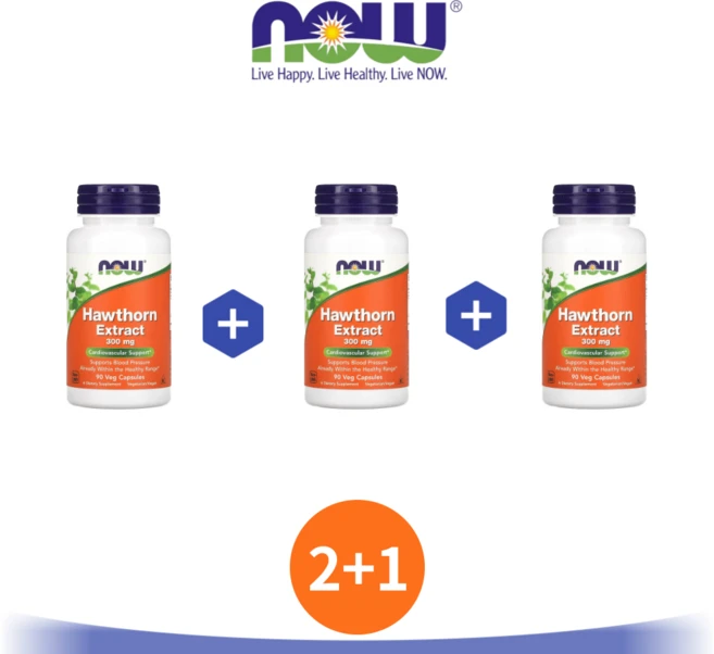 2+1 나우푸드 호손 추출물 Hawthorn 300 mg 90캡슐 산사나무 열매 베리, 90정, 3개 - 쿠팡
