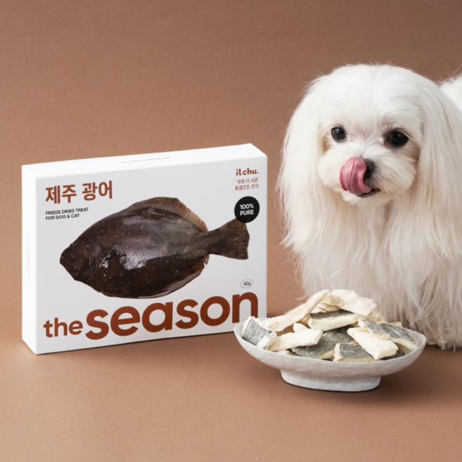 잇츄 더 시즌 동결건조 저알러지 강아지 고양이 간식, 1개, 40g, 제주 광어