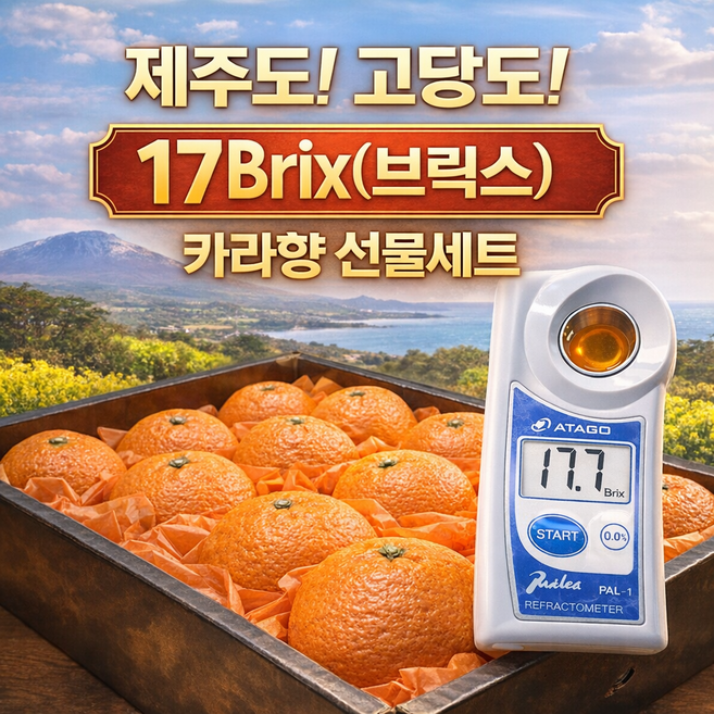 [내일도착] 제주농장직송 카라향 선물용 17브릭스 고당도 선물세트, 1박스, 제주 카라향 선물용 5kg
