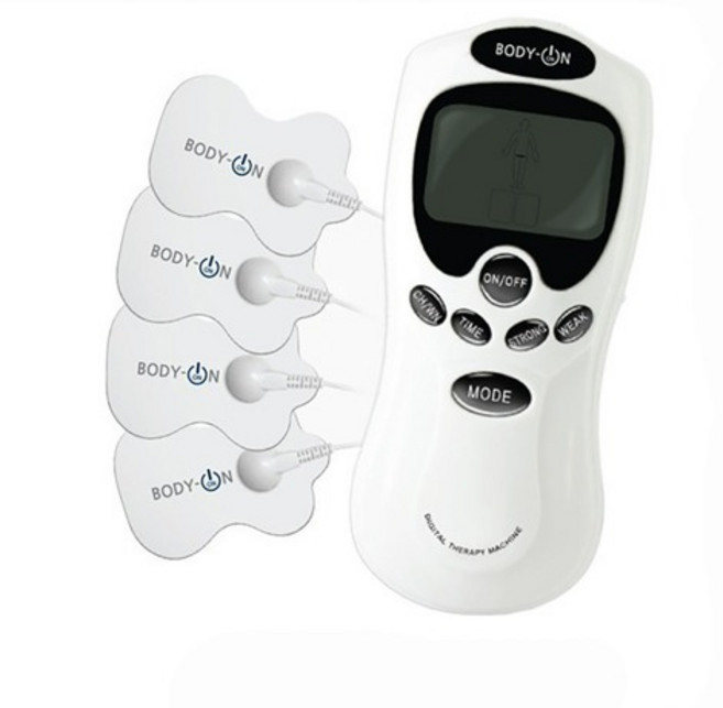 바디온 저주파 전신 마사지기, EM-301