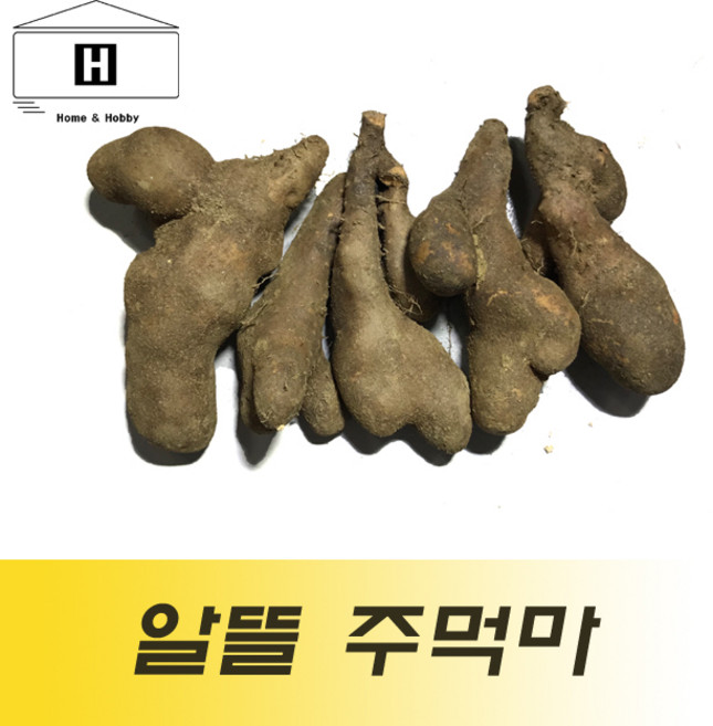 국산 주먹마 파지마 2kg 생마 알뜰마 마쥬스 마전 마요구르트 마우유, 1개