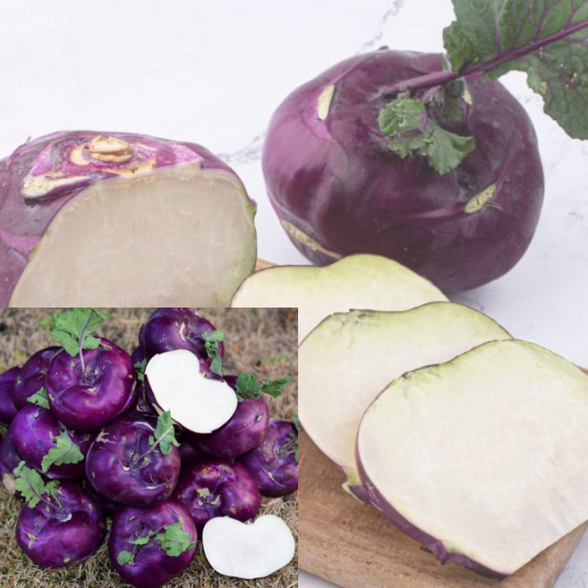 제주 콜라비 농장 직송 못난이 제주산 햇 제주도, 1개, 3kg