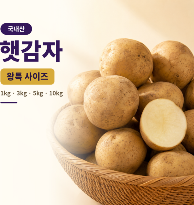 국내산 햇감자 왕특 사이즈 감자 산지직송 1kg 3kg 5kg 10kg, 1박스, 10kg(박스포함 중량)