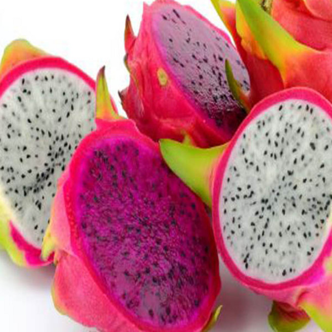 용과 열대과일 레드용과 백용과 2.5kg 5kg, 02.백용과 5kg, 1개