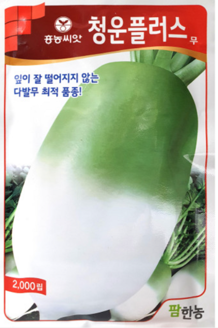 청운플러스무 2000립 [2022년 포장] 무씨 김장무 씨 씨앗, 1개