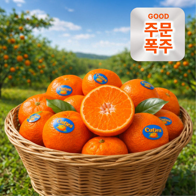 [환상의맛] 초고당도 만다린 귤 프리미엄, 1박스, 2kg