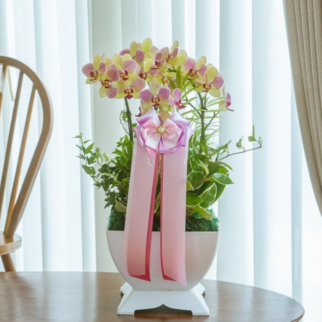 나눔플라워 전국 저가 서양란 취임 진급 승진 개업 승진란 개업란 진급란 축하 꽃배달서비스 당일꽃배달, 삼색조 소, 1개