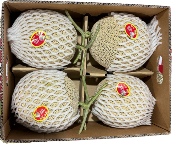 국내산 초고당도 머스크 메론, 1개, 4수 6.5KG/내외