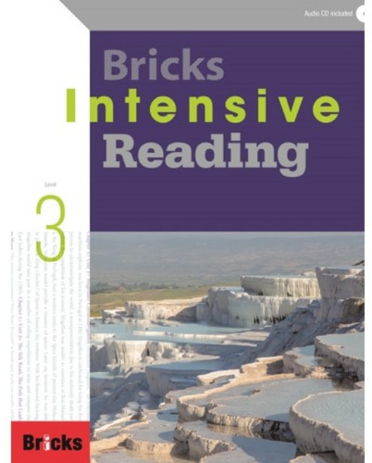 BRICKS INTENSIVE READING (3) 브릭스인텐시브리딩