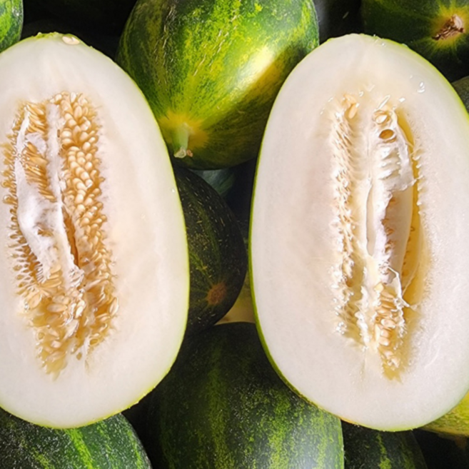 굿피플 못난이파파야메론 개구리참외 메론 멜론, 1박스, 못난이 파파야메론 2kg 랜덤과