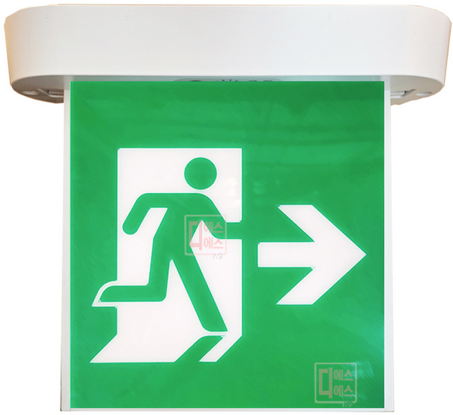 리더스테크 피난구유도등 천정형 중형 국산정품 당일발송, 1개, 단면)우방향