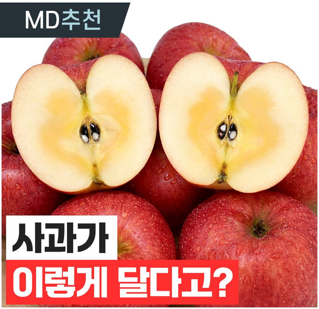 푸드지 꿀이가득 고당도 꿀 사과, 1개, 5kg(중과)