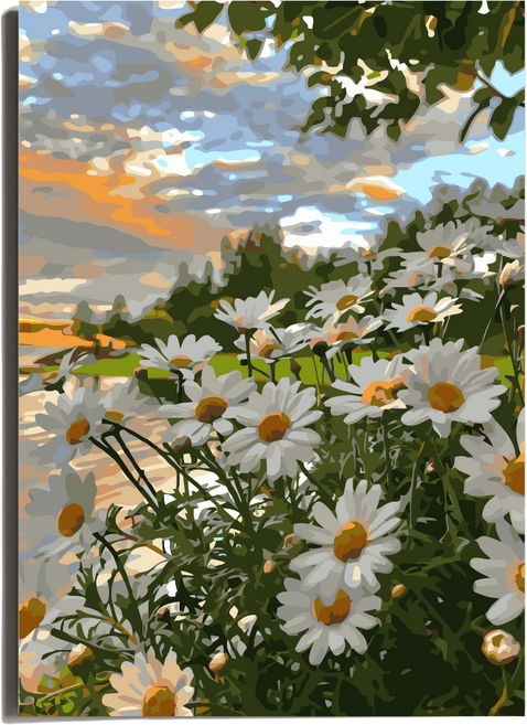 원그리드 DIY 명화그리기 세트 캔버스 유화그리기, 데이지 선셋, 1개