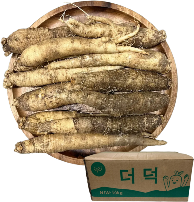 더덕(중사이즈) 세척더덕, 1개, 5kg