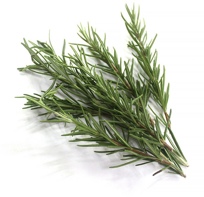 쉐프의정원 농장에서 바로 로즈마리 허브 10g 50g 100g, 허브 로즈마리 10g, 1