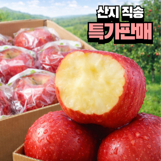 [선착순초특가] 껍질째먹는 세척사과 꿀당도 산지직송, 1세트, 3 kg
