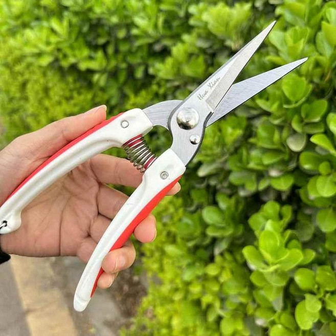 가위 솎는 도구 과수원 사과 적과가위 배 꽃솎는, 외발과가위, 1개