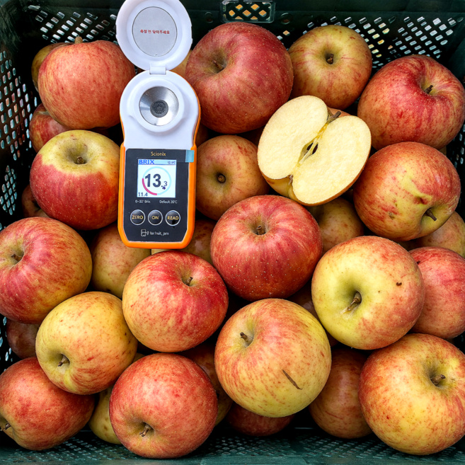 [수량한정] 달콤새콤 경북꿀사과 당일선별 A급, 1박스, 5kg