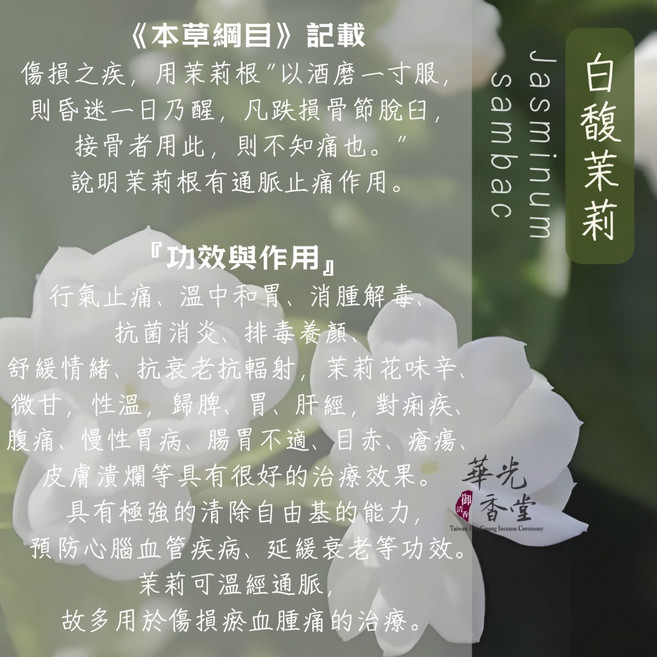【華光香堂】粽子香包 艾草包 可打開替換香料 母親節禮物 安神香, 1個, 白馥茉莉（8g）+香粉空袋