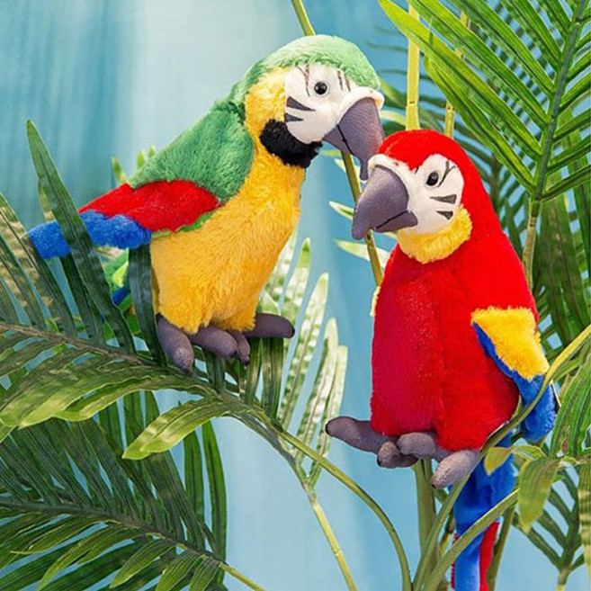 말하는 앵무새 인형 말따라하는 장난감 따라쟁이