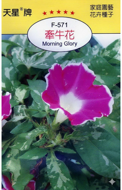 天星牌 牽牛花 Morning Glory 種子-野菜部屋穗耕種苗, 1包