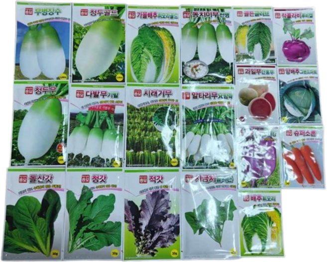 김장 가을 배추 무 알타리 채소 씨앗 종자 텃밭 주말농장 씨앗, 7 알타리무, 1개
