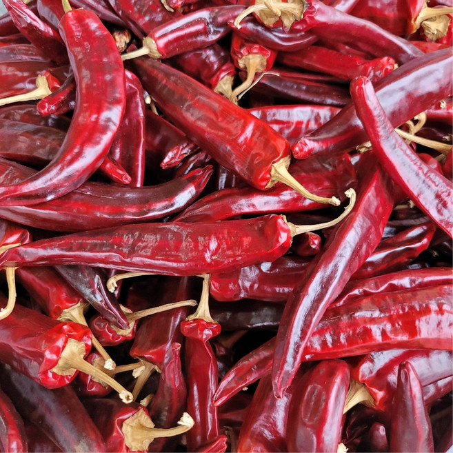 정상농업 국산 건고추, 1개, 5근(3kg), 꼭지 있음