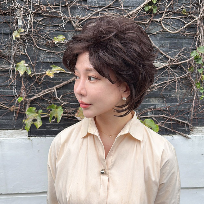 여성 중년 가발 숏컷 엘레강트 볼륨 보브 - 호시헤어위그, 1개, 엘레강트 딥 초코 브라운