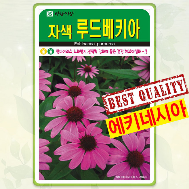 AR 자색 루드베키아(중포장) 1000립 씨앗, 1개
