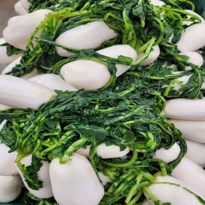 [이준이네 산들밭]손질된 아삭아삭한 절임알타리무, 1개, 10kg