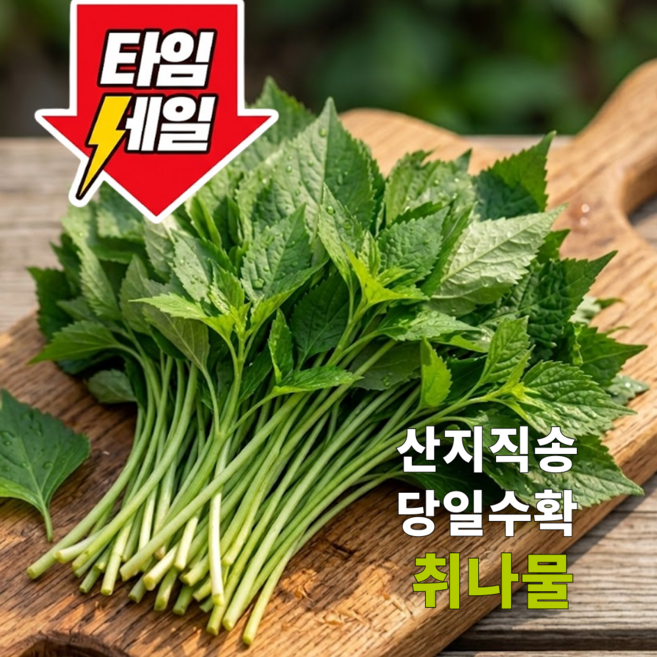 [산지직송] 국산 취나물 봄나물 생취나물, 1박스, 300g