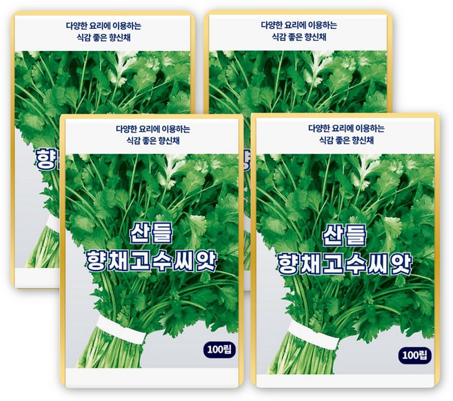 산들 향채 고수 씨앗 100립 특색있는 향신채 고수씨 종자, 4개