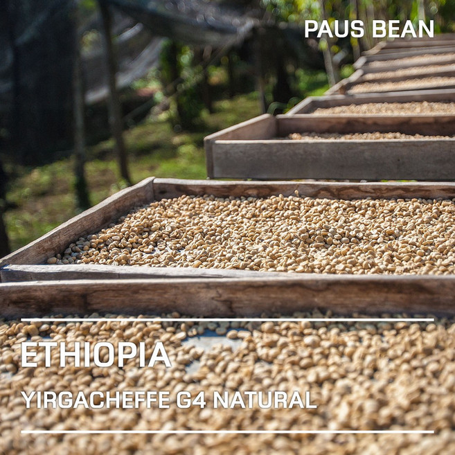 생두대빵 에티오피아 예가체프 G4 내추럴 생두, 1kg, 1개